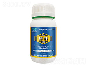 ���w���ϑB(t��i)�}�V-�֠���(y��u)