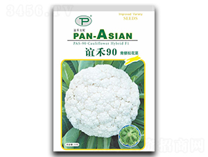 �x��90-�ɻ��˷N��-�x��