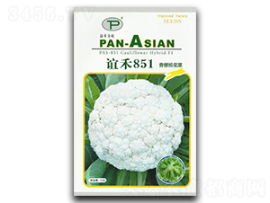 �x��851-�ɻ��˷N��-�x��