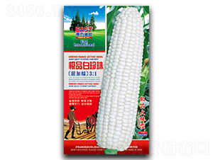 �OƷ������-Ŵ���׷N��-�����_(d��)