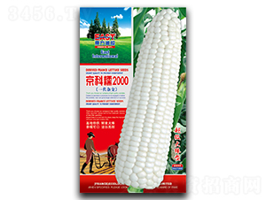 ����Ŵ2000-Ŵ���׷N��-�����_(d��)