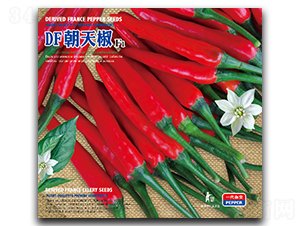 DF���콷-�����N��-�����_(d��)