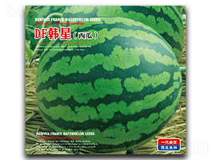 DF�n��-���ϷN��-�����_