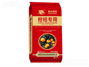 �̽ی��÷�-��������