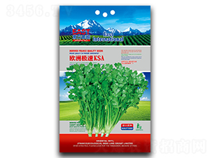 �W�ޘO��KSA-��˷N��-�����_(d��)