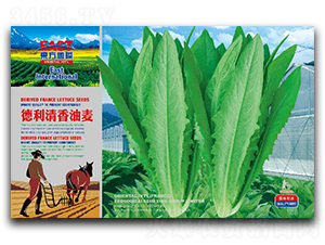 ������������-�����˷N��-�����_(d��)