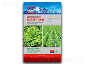 �ʹ�������Ӣ-���˷N��-�����_(d��)