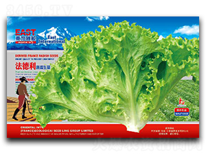 ��������������-���˷N��-�����_(d��)