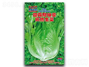 �����ͳ�̦����-���˷N��-�����_(d��)