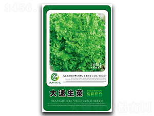 ��������-���˷N��-�����_(d��)