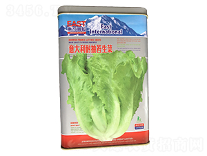 ������ͳ�̦���ˣ��ޣ�-���˷N��-�����_(d��)