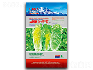 �����������޲�-���޲˷N��-�����_