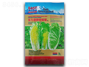 �|���������޲�-���޲˷N��-�����_