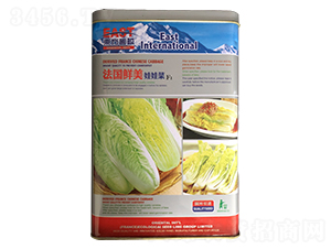 �����r�����޲�-���޲˷N��-�����_