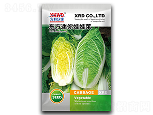 �|���������޲�F1������-���޲˷N��-�����_