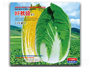 DF��T-�ײ˷N��-�����_