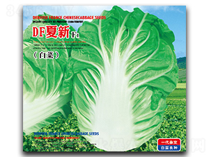 DF����-�ײ˷N��-�����_