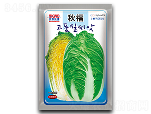 �︣������-�ײ˷N��-�����_