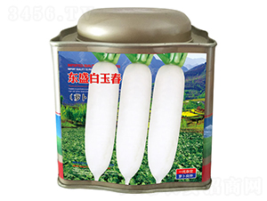 �|ʢ���񴺣��ޣ�-���}���N��-�����_(d��)