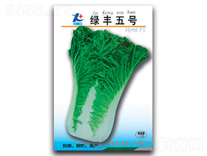 �G�S��̖-С�ײ˷N��-�S�r(n��ng)�r(n��ng)�I(y��)