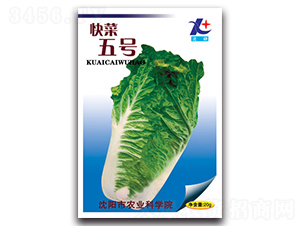 �����̖-С�ײ˷N��-�S�r(n��ng)�r(n��ng)�I(y��)