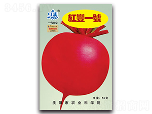 �t�Sһ̖(h��o)-�}���N��-�S�r(n��ng)�r(n��ng)�I(y��)