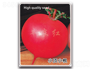 �S�r(n��ng)�t-�}���N��-�S�r(n��ng)�r(n��ng)�I(y��)