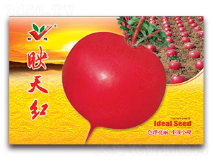 ӳ��t-�}���N��-�S�r(n��ng)�r(n��ng)�I(y��)