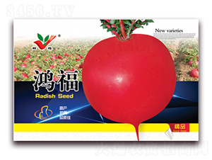 ����-�}���N��-�S�r(n��ng)�r(n��ng)�I(y��)