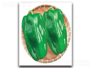 �f(w��n)��A4-�����N��-�S�r(n��ng)�r(n��ng)�I(y��)