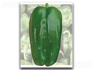 ��(y��ng)-�����N��-�S�r(n��ng)�r(n��ng)�I(y��)