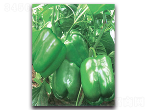 ������-�����N��-�S�r(n��ng)�r(n��ng)�I(y��)