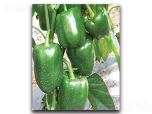 ������02̖(h��o)-�����N��-�S�r(n��ng)�r(n��ng)�I(y��)