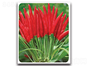 ������-�����N��-�S�r(n��ng)�r(n��ng)�I(y��)