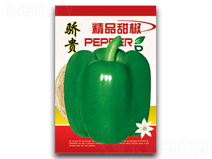 ��F-�����N��-�S�r(n��ng)�r(n��ng)�I(y��)