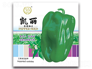 �P��-�����N��-�S�r(n��ng)�r(n��ng)�I(y��)