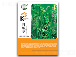 �Ƽ{��-�S�ϷN��-�S�r(n��ng)�r(n��ng)�I(y��)