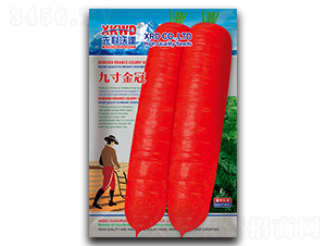 �Ŵ���-���}���N��-�����_