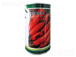 ���m�¼t�����ޣ�-���}���N��-�����_