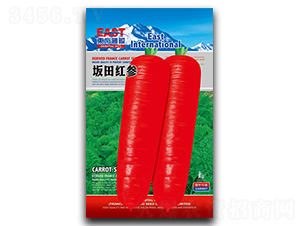 ����t��-���}���N��-�����_