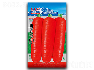 �|��˴�101-���}���N��-�����_