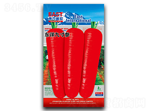 �|��Ŵ煢-���}���N��-�����_