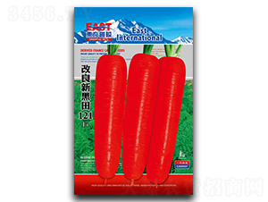 �����º���121-���}���N��-�����_