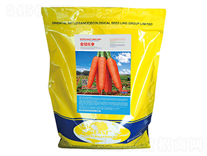 ��ڼt��-���}���N��-�����_