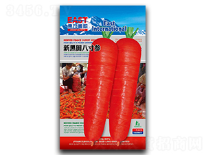 �º���˴煢-���}���N��-�����_