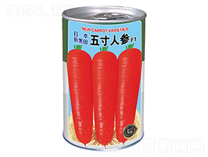 �ձ��º�������˅����ޣ�-���}���N��-�����_(d��)