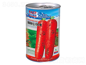 �����ߴ�t�����ޣ�-���}���N��-�����_(d��)