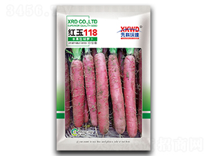 �t��118-���}���N��-�����_(d��)