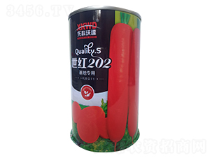 ���t202���ޣ�-���}���N��-�����_(d��)