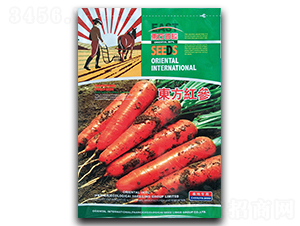 �|���t��-���}���N��-�����_(d��)